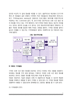 정보처리이론(정보처리의 일반모형, 아동의 기억발달, 정보처리이론의 평가 및 비판점)-3
