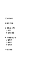 태내기 발달(생명의 시작, 태내발달단계-1