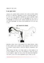 태내기 발달(태내발달단계, 성의 결정과 쌍생아)-3