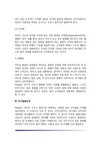 피아제의 인지발달이론(Piaget 이론의 주요개념, 인지발달단계)-4