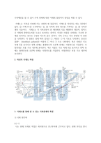 (심리학에게묻다 공통) 가계도 표준기호를 활용하여 자신의 가계도를 작성한 후, 자신의 가계도에서 나타나는 특징이 무엇이며-3