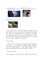 11번가 기업분석과 11번가 마케팅사례및 SWOT,STP,4P전략분석및 11번가 향후방향제언-13