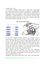 [아동발달이론의 기계론적 관점] 행동주의이론(고전적 조건화, 조작적 조건화)과 사회학습이론의 비교와 평가 및 교육적 시사점-5