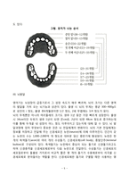 [영아기 신체운동발달] 영아기 신체성장, 영아의 생리적 기능, 영아기 운동능력발달-5