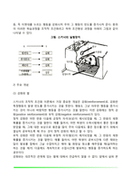 [행동주의 학습이론] 파블로프의 고전적 조건형성이론(고전적 조건화), 스키너의 조작적 조건형성이론(조작적 조건화), 반두라의 사회학습이론-7