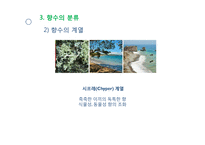 향수의 역사와 분류-13