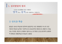 심리발달의 원리와 인지발달이론-3