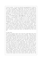 [언어의 이해 B형] 내적 언어학의 분야를 제시하고, 각 분야에서 무엇을 어떻게 연구하는지를 간략히 서술하시오-3