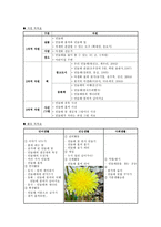 [방통대 2017-2]프로젝트 접근법의 이론적 기초, 교육목표 및 원리, 교육과정에 대해 설명하고, 한국 유아교육 현장에의 적용 시 강점과 약점에 관해 논하시오.-15
