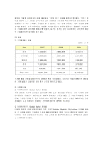 [경영] 나이키의 성공요인 분석-3