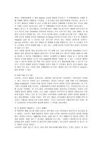 [경영] 나이키의 성공요인 분석-13
