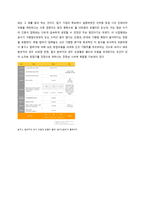 [경영] 봉구스 밥버거의 마케팅 전략-4