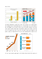 [경영] 봉구스 밥버거의 마케팅 전략-6