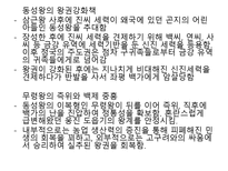 [사회] 백제의 국가형성과 발전-18