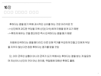 [정치외교] 마키아벨리 군주론 15-26장-3