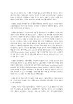 [사회복지정책론] 스칸디나비아 복지국가에 대해 설명하시오-5