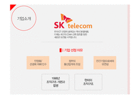 sk텔레콤 조직설계-3