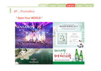 Heineken Marketing Plan 하이네켄 마케팅 전략-10