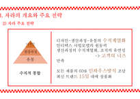 spa 브랜드의 특성과 글로벌 시장 성공 요인-13