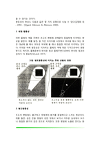 지각항등성(색체항등성, 명도항등성, 모양항등성, 크기항등성, 위치항등성)-3