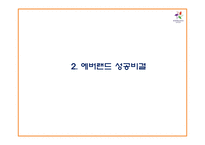 에버랜드 성공비결과 에버랜드 마케팅,경영전략분석및 에버랜드 향후과제와 방향제언 PPT-5