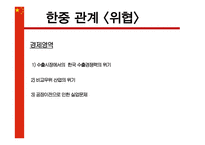 중국의 부상, 위기인가 기회인가-15