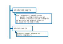 한류 허브 레포트-13