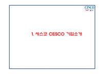 CESCO 세스코 성공요인과 세스코 마케팅 SWOT,STP,4P전략분석및 세스코 미래전략제언 PPT-3