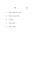 멀티미디어동영상-2