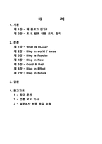 [인터넷커뮤니케이션] BLOG 블로그에 대해서-2