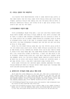 미국의 패권주의와 이라크전쟁-8