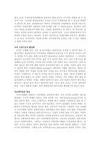 [인사관리] 21세기형 HRM, 조직의 수평화를 위한 인적자원관리-6