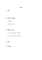 [미혼모문제] 10대 미혼부모문제-2