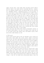 무기발달과 인간존엄성 문제(걸프전을 중심으로)-3