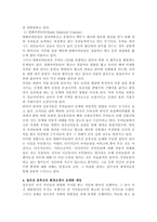 무기발달과 인간존엄성 문제(걸프전을 중심으로)-4