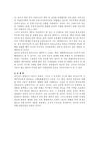 무기발달과 인간존엄성 문제(걸프전을 중심으로)-5