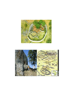 [실용영어] The Great Zimbabwe-11
