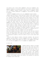 [군사]나폴레옹 전쟁사-16