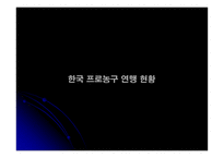 [마케팅관리] 한국 프로농구리그(KBL) 마케팅전략-3