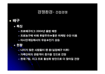 [마케팅관리] 한국 프로농구리그(KBL) 마케팅전략-14