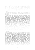 [경영전략] 보드게임전문점의 경영 마케팅전략 실사례 분석-14