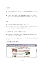 의사결정지원시스템성공사례-12