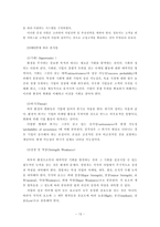 [서비스마케팅] 주유소의 고객마케팅 비교 분석 -SK(엔크린)과 현대(오일뱅크)를 중심-13
