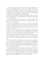 [다국적기업론] 국내 다국적기업의 환경 및 문제점-2