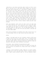 [애니메이션] 김문생 감독 `원더풀데이즈` 분석-4