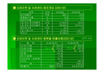 [소매업과 유통전략] 슈퍼마켓 연구-16