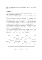 [간호이론] Sister Callista Roy 로이-9