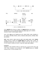 [간호이론] 로이의 적응모델-4