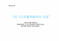 [광고기획안] 소니 디지털카메라 광고기획제안서-3