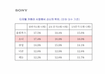 [광고기획안] 소니 디지털카메라 광고기획제안서-5